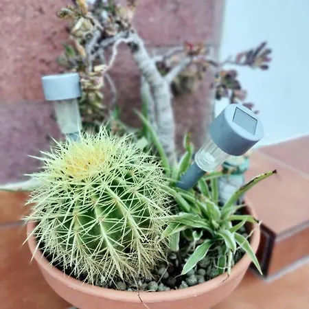 Hébergement de vacances La Casita De Ari *